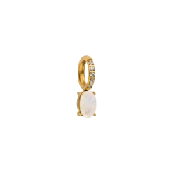 PURELEI Charms<Geburtsstein Juni Mondstein
