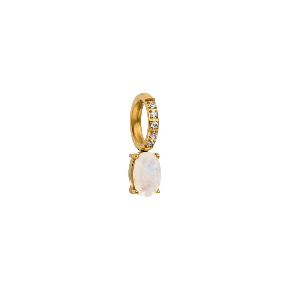 PURELEI Charms<Geburtsstein Juni Mondstein