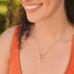PURELEI Charms<Pure X Charm