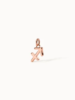 PURELEI Charms<Schütze Zodiac Charm