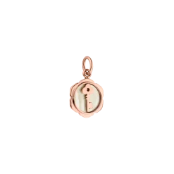 PURELEI Charms<Secret Charm