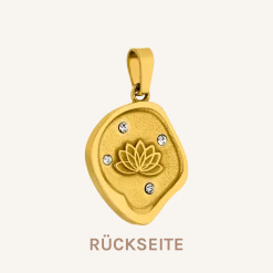 PURELEI Charms<Volcano Coin Charm