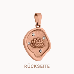 PURELEI Charms<Volcano Coin Charm