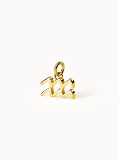 PURELEI Charms<Wassermann Zodiac Charm