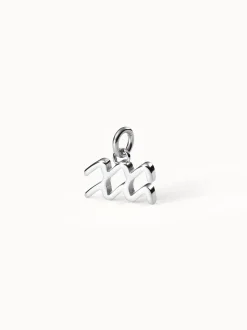 PURELEI Charms<Wassermann Zodiac Charm