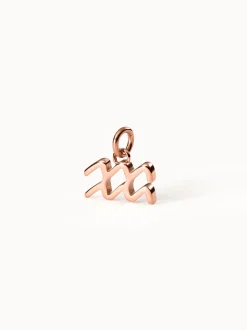 PURELEI Charms<Wassermann Zodiac Charm