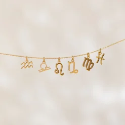 PURELEI Charms<Wassermann Zodiac Charm