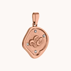 PURELEI Charms<Wave Coin Charm