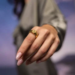 PURELEI Ringe<Zwilling Zodiac Ring